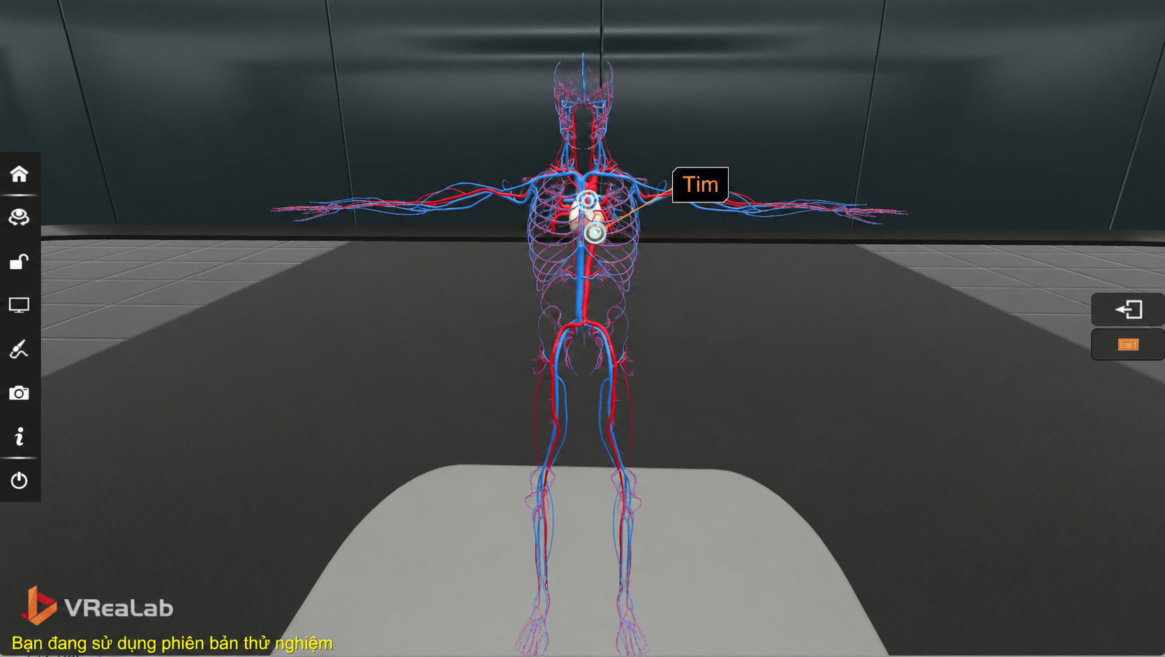 Mô hình tuần hoàn từ video Human Body Exploration